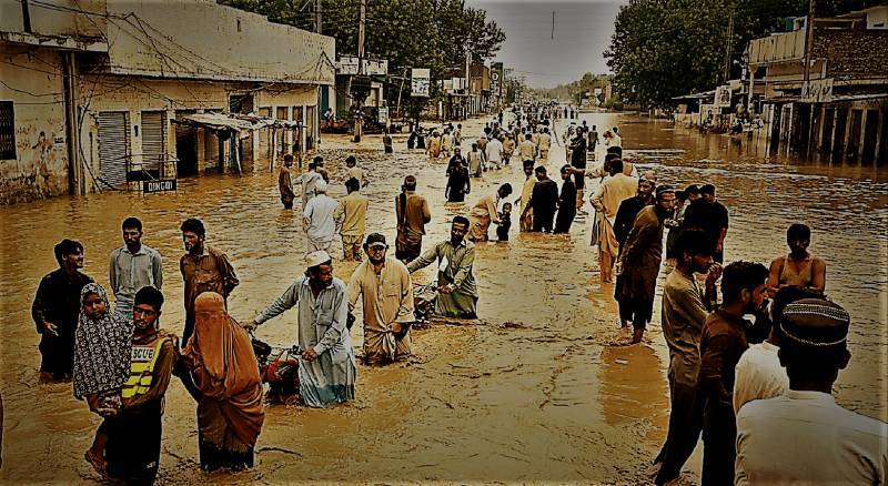 Environmental Disasters And Our Response Gaps – Part 2