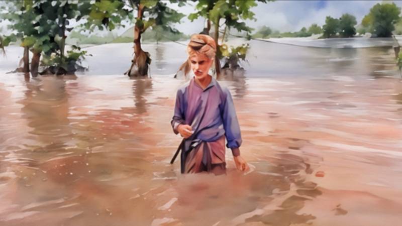 The Weight Of Witness: Between Human Suffering And Donor Demands