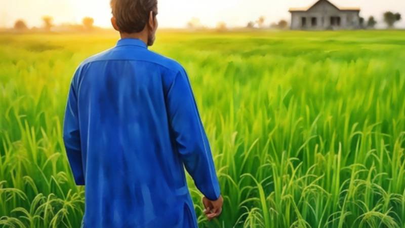 Turning Rural Pakistan Into An Engine Of Growth