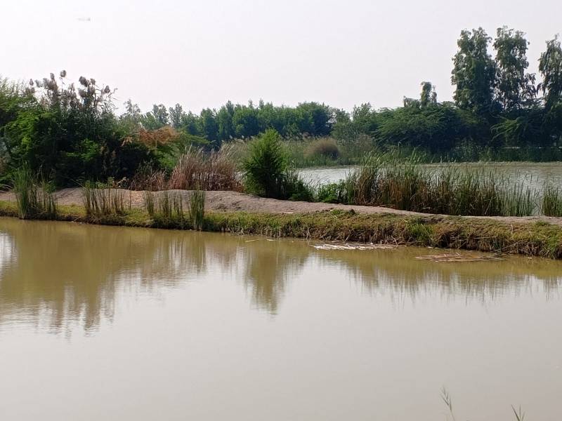 Resilience After The Rains: How Rural Women Rebuilt A Village In Sindh
