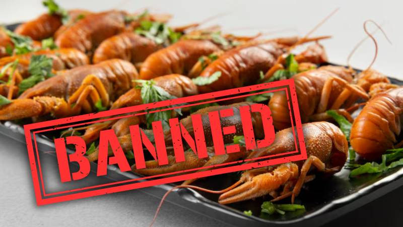 Sindh’s Coastal Communities Face Crisis As Crab Exports To China Halted