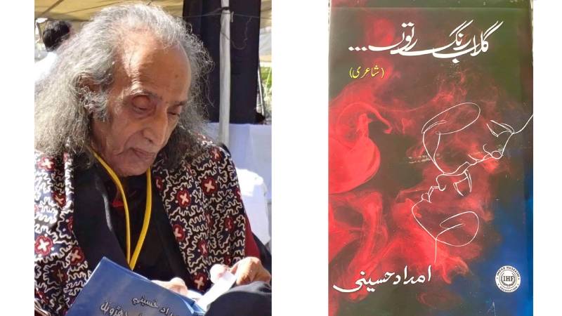 How Imdad Hussaini Bridged Classical Heritage And Contemporary Sindhi Literature