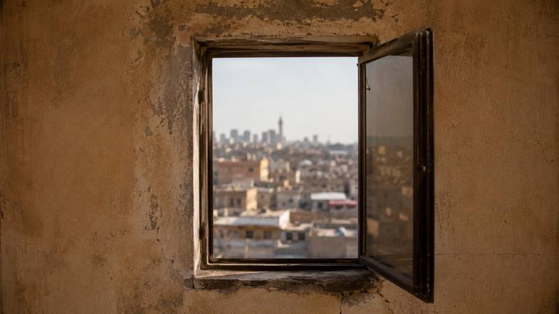 One Window, No View