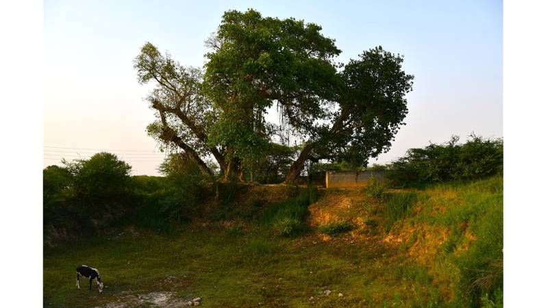 Banda-Basali Was Once The Economic Powerhouse Of Rawalpindi