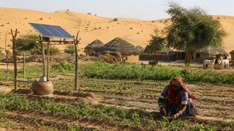 Organic Agriculture In Thar: Cultivating Hope In Pakistan's Desert