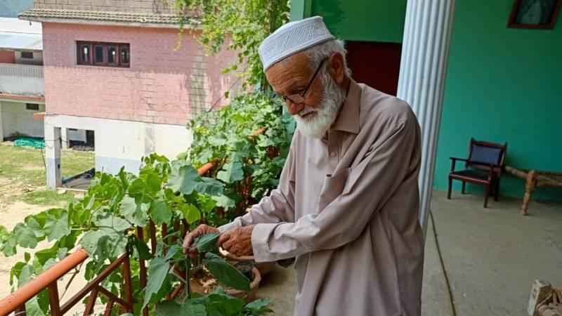 Meet Kadada, The 80-Year-Old Guardian Of Swat Valley’s Forests