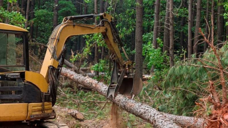 From Patriata Forest To Islamabad: How Unqualified Urban Planners Failed Pakistan