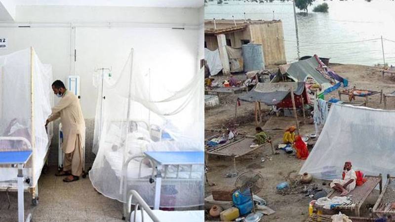 Dengue And The Cost Of Waiting