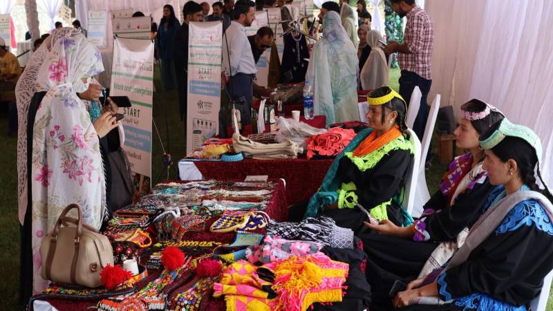 From Orchards To Online Work: Women’s Pursuit Of Economic Independence In Gilgit-Baltistan And Chitral
