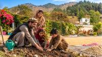 The Family Forest: Turning Trees Into Pakistan’s Green Savings Bank